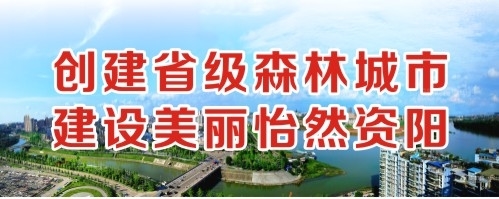 大鸡操逼创建省级森林城市 建设美丽怡然资阳