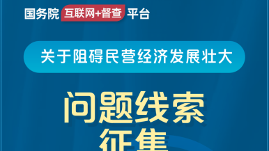 狂抽骚湿内射国务院“互联网+督查”平台公开征集阻碍民营经济发展壮大问题线索